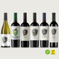 Pack 6 Degustación: El Goru Blanco, Verde, El Goru, Gold, 38 Barrels y 18 M